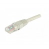 CORDON PATCH UTP CAT6 3m GRIS