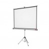 ECRAN DE PROJECTION 180 X 180 MURAL