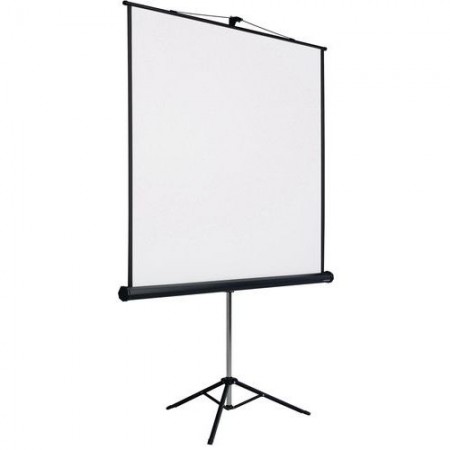 ECRAN DE PROJECTION 200 X 200 MURAL