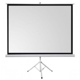 ECRAN DE PROJECTION 200 x 200 MURAL ELECTRIQUE