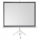 ECRAN DE PROJECTION 200 x 200 MURAL ELECTRIQUE