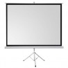 ECRAN DE PROJECTION 200 x 200 MURAL ELECTRIQUE