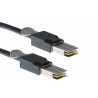 CABLE D'EMPILAGE 1m POUR CISCO CATALYST 2960